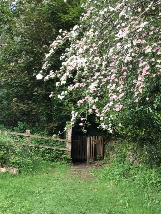 Oak Lodge Tavistock  Zewnętrze zdjęcie