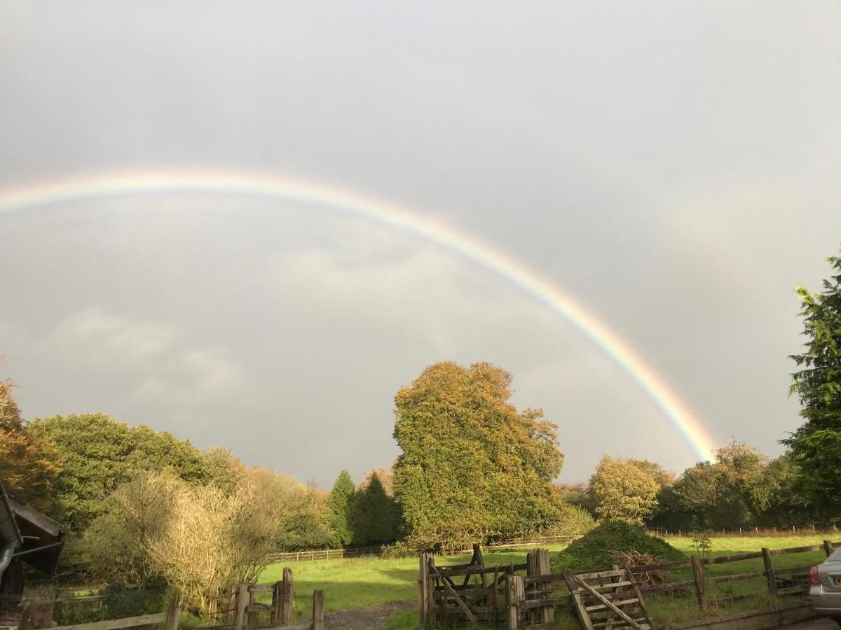 Oak Lodge Tavistock  Zewnętrze zdjęcie