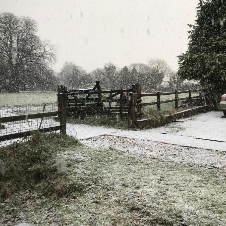 Oak Lodge Tavistock  Zewnętrze zdjęcie