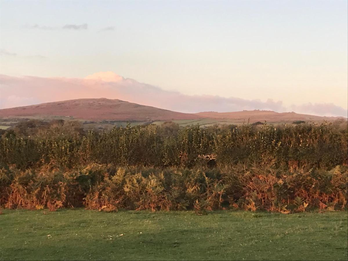 Oak Lodge Tavistock  Zewnętrze zdjęcie